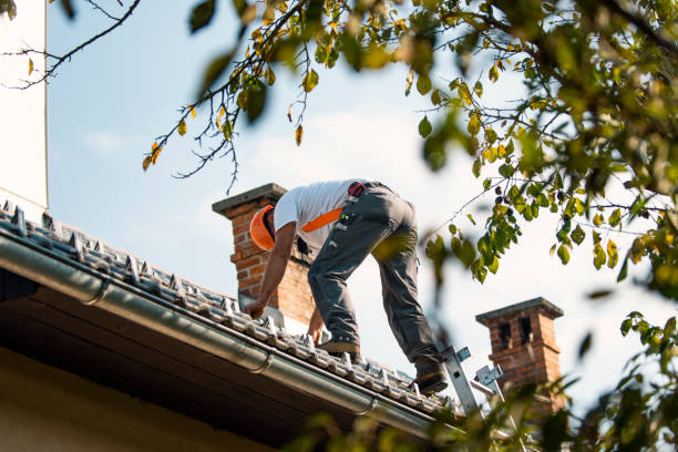 Best Roof Gutter Cleaning  in Dallas, TX